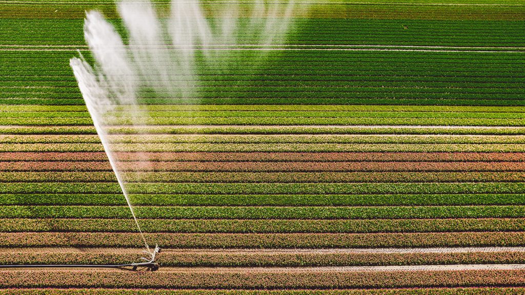 irrigação por canhão